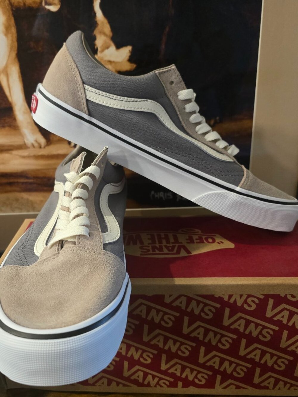 Vans Old Skool Frost Gray VN000D7Z85T Men's Shoes Skateboarding Sz 9 US NEW